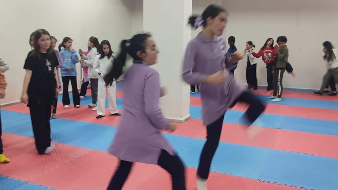 Ortaokul Öğrencilerimiz Taekwondo Sporu ile Tanıştı