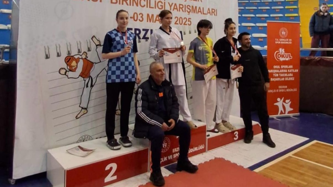 Taekwondo Turnuvası